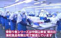 海和食品工場紹介原