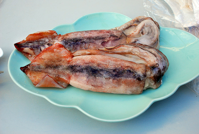 鱿鱼